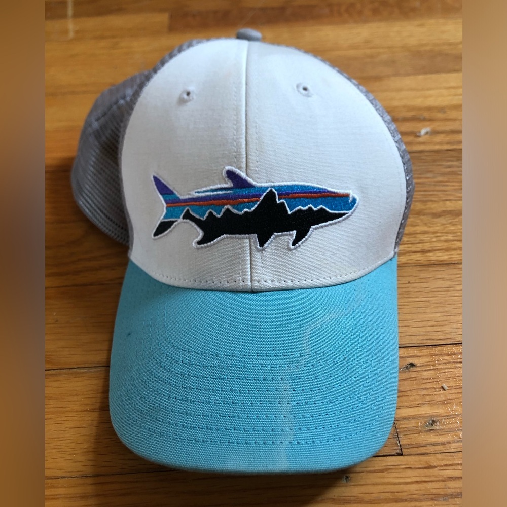 Patagonia Hat